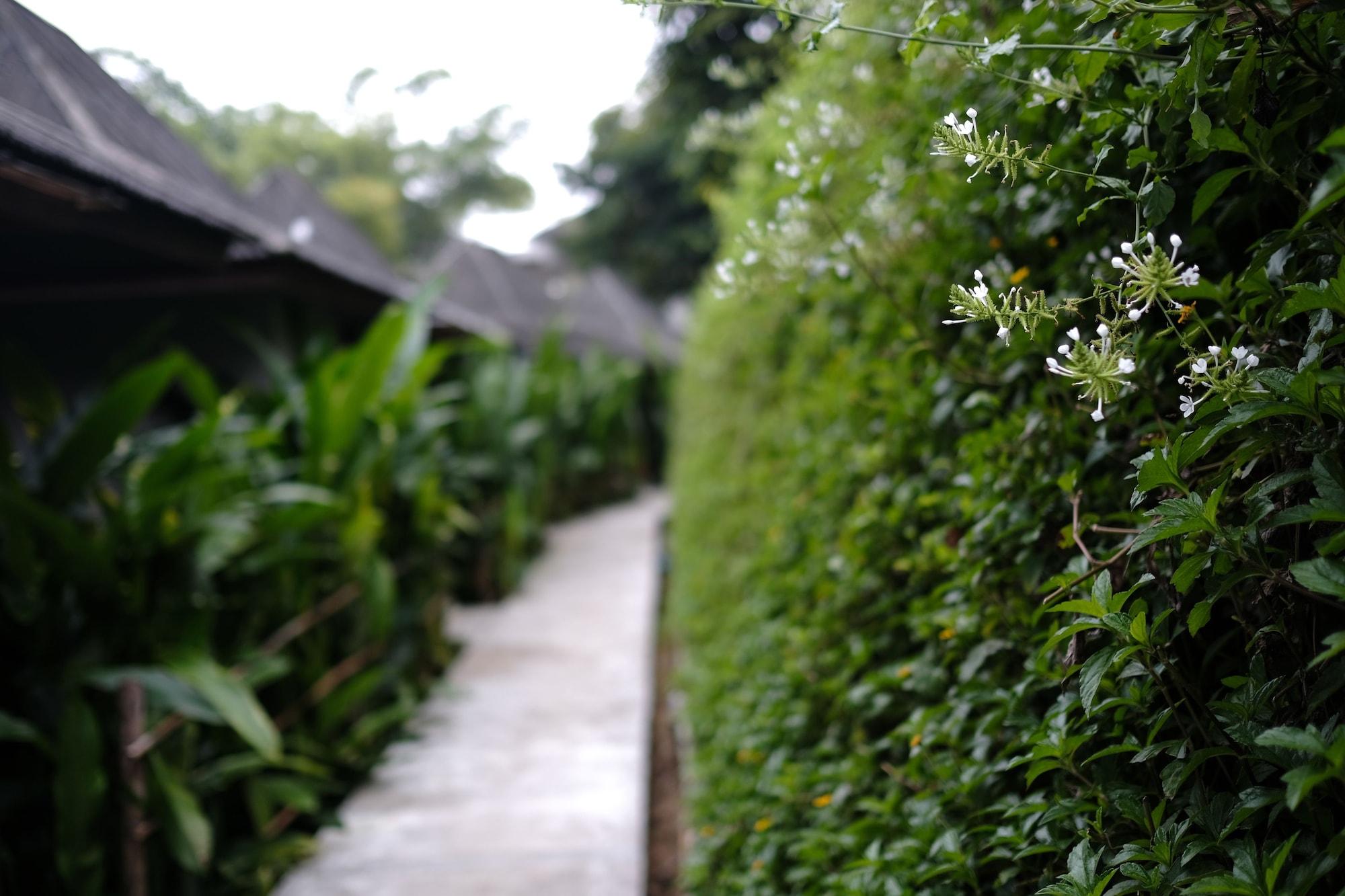 Yoma Hotel, Pai Exterior photo