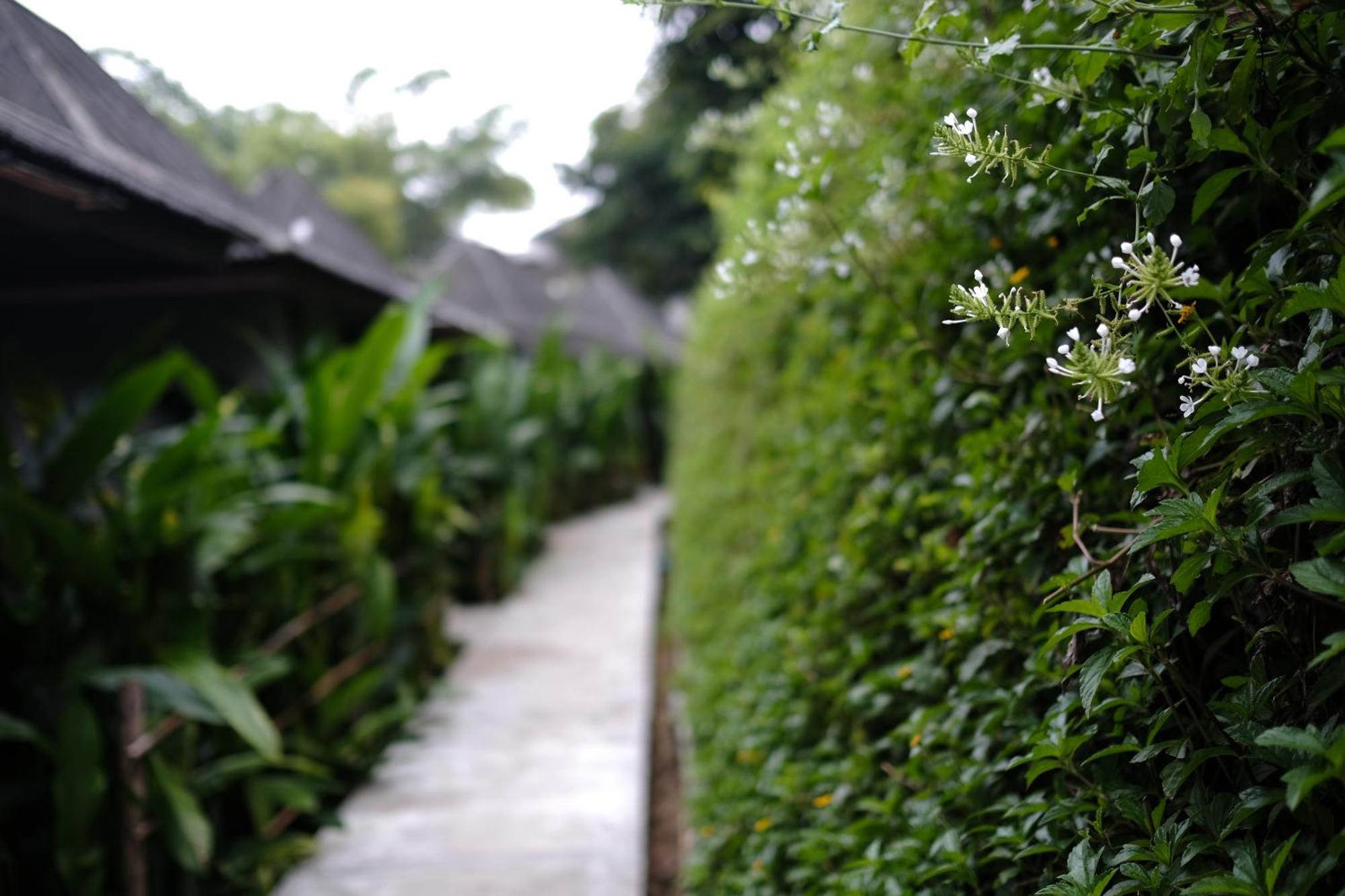 Yoma Hotel, Pai Room photo