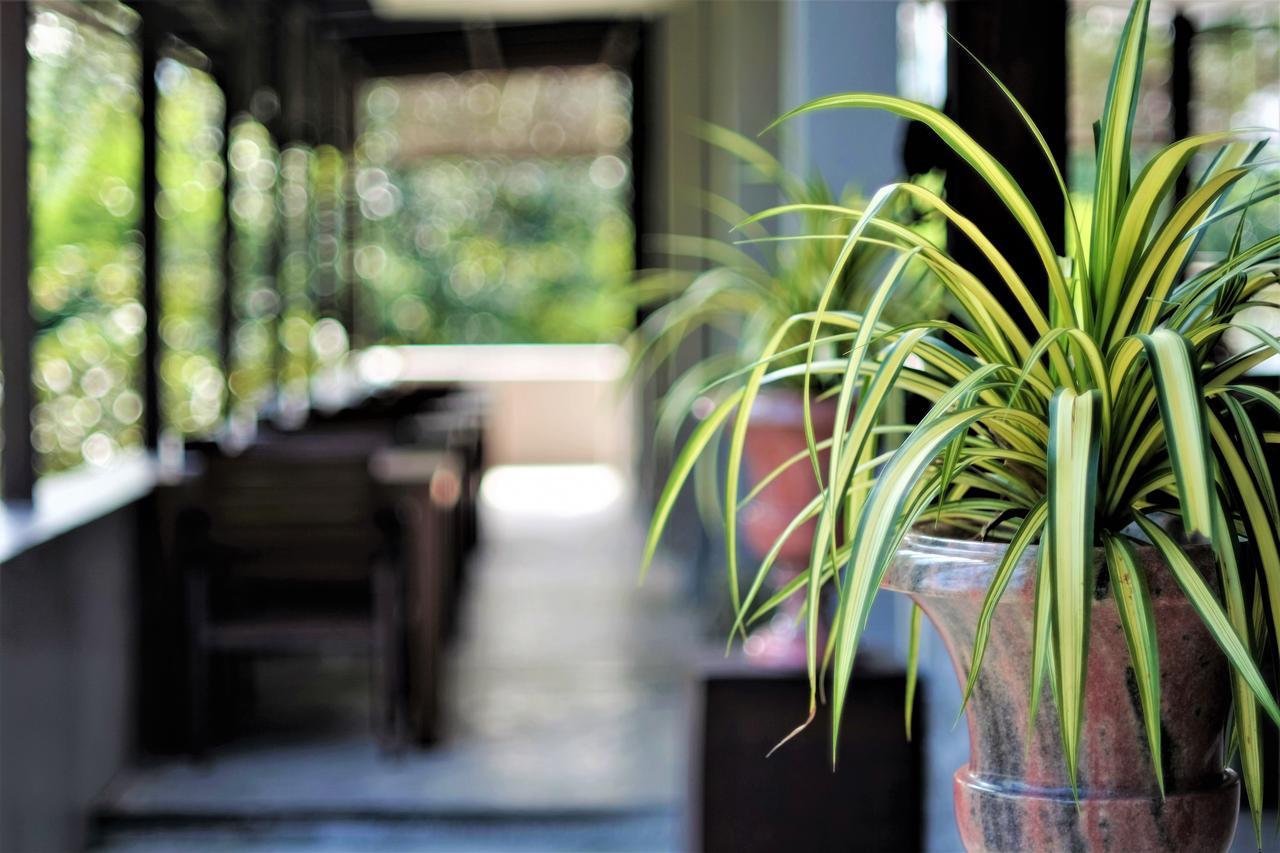Yoma Hotel, Pai Exterior photo